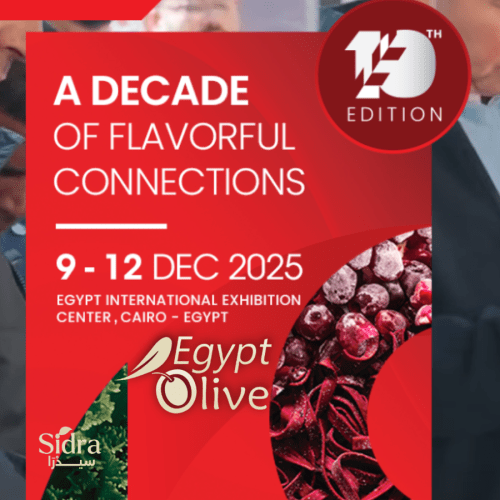 اخبار سيدرا