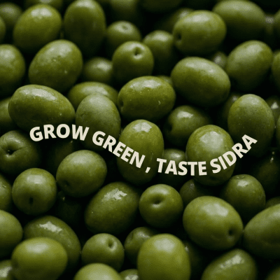 GREEN OLIVES