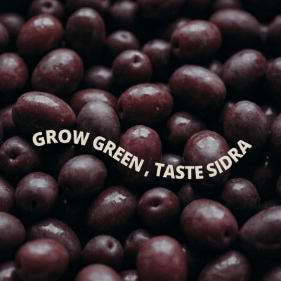 BLACK OLIVES