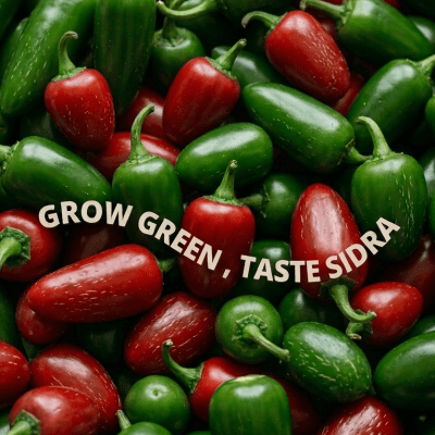 JALAPENO
