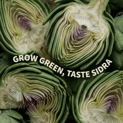 ARTICHOKES